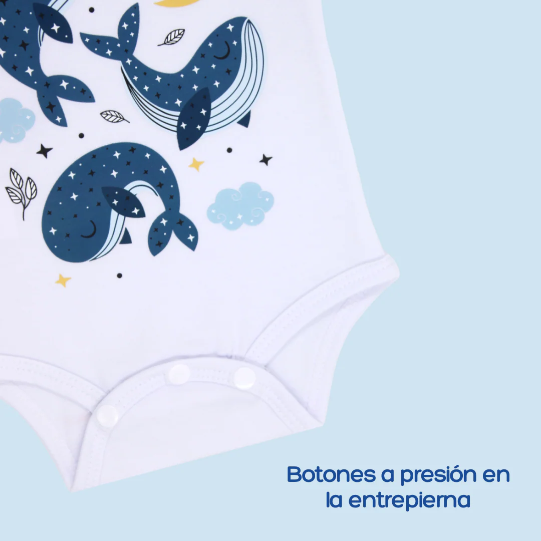 Imagen del producto 3