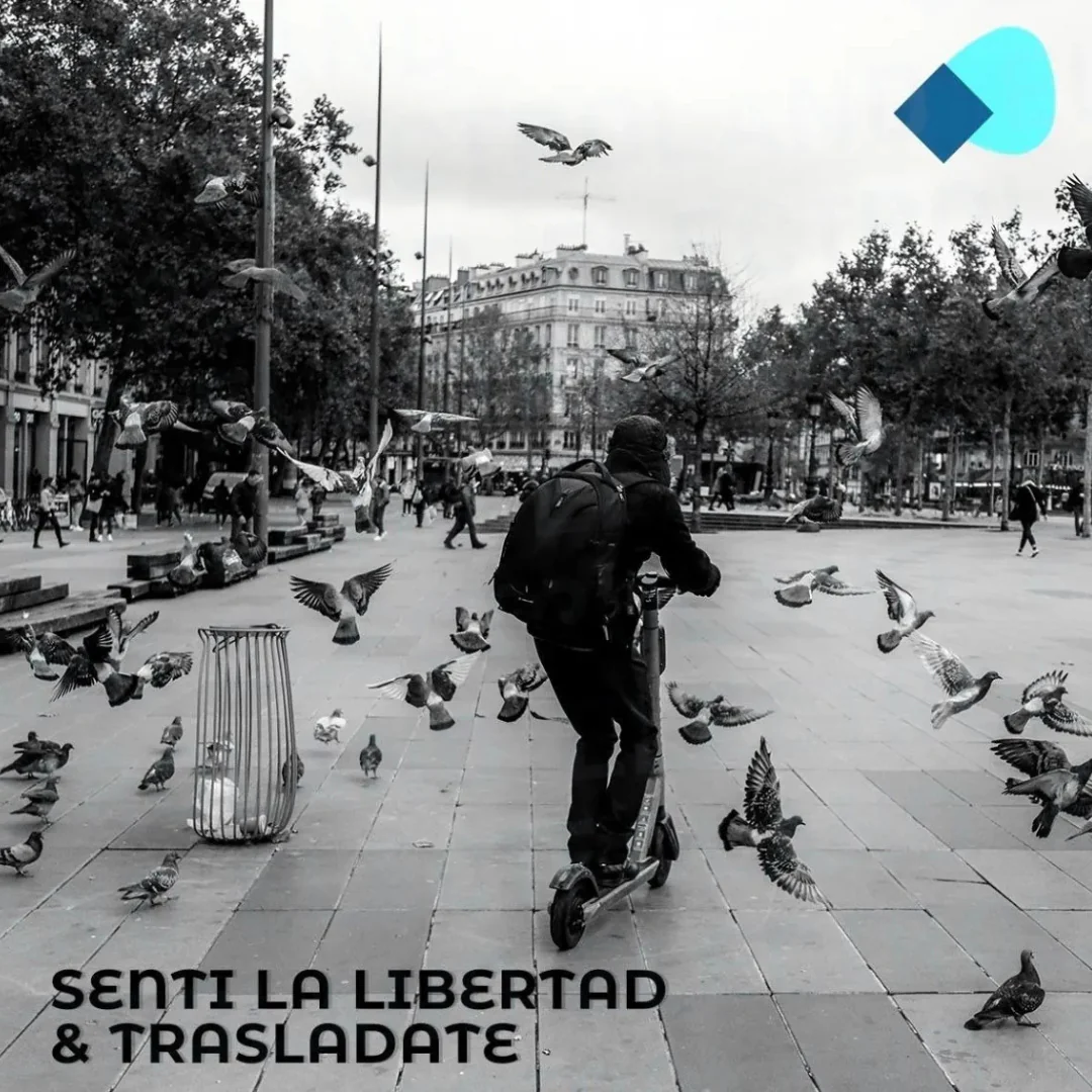 Imagen del producto 8